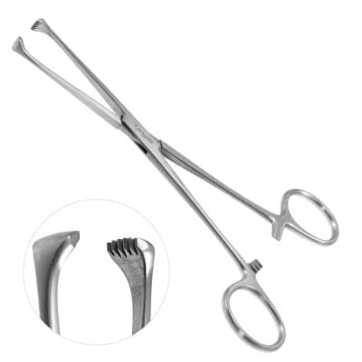 Boys Allis Tissue Forceps 5x6 Teeth 6" Heavy Pattern