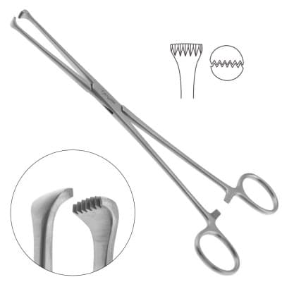Thoms Allis Tissue Forceps 6X7 Teeth 8"