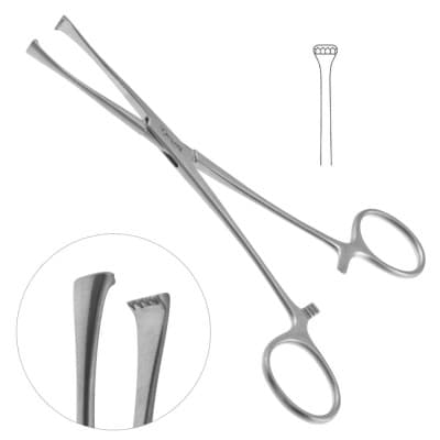 Lockwood Tissue Forceps 7 3/4"