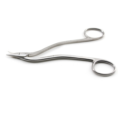 Silver 6 Cutting Scissors