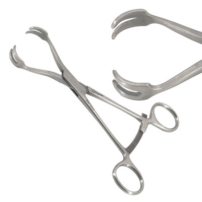 Twin Point Fragment Reduction Forceps Curved